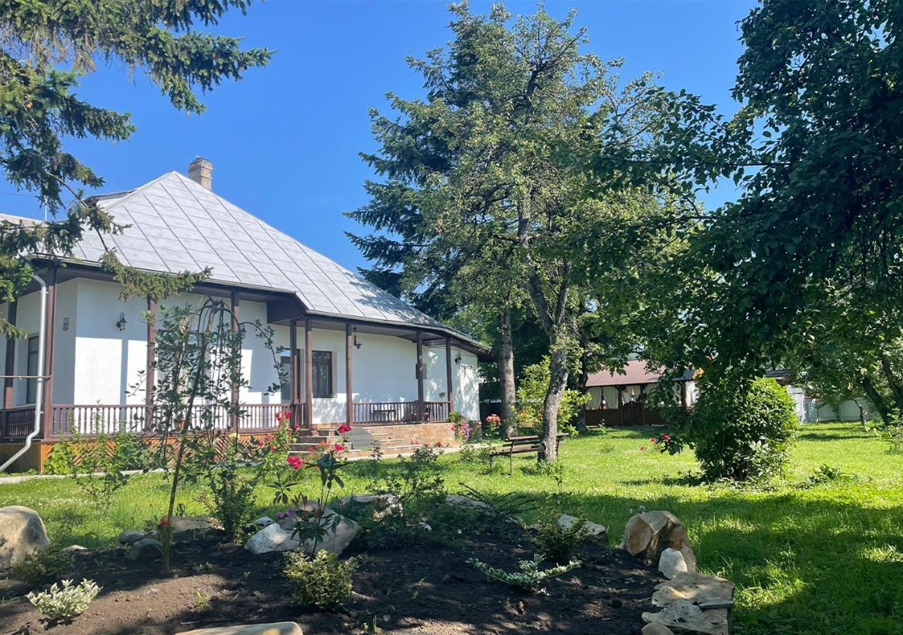 Casa Humulesti, Fii Vecinul Lui Ion Creanga Villa Târgu Neamţ Exterior foto